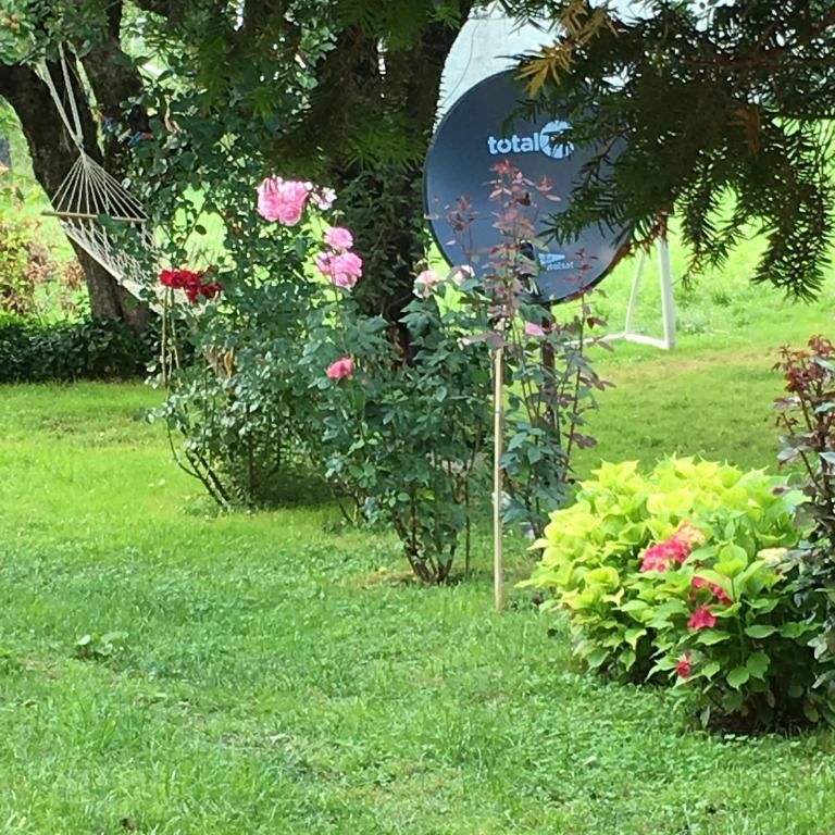 Апартаменты Apartments Kapisoda Цетине-60