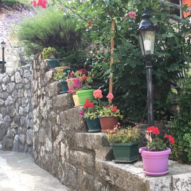 Апартаменты Apartments Kapisoda Цетине-71