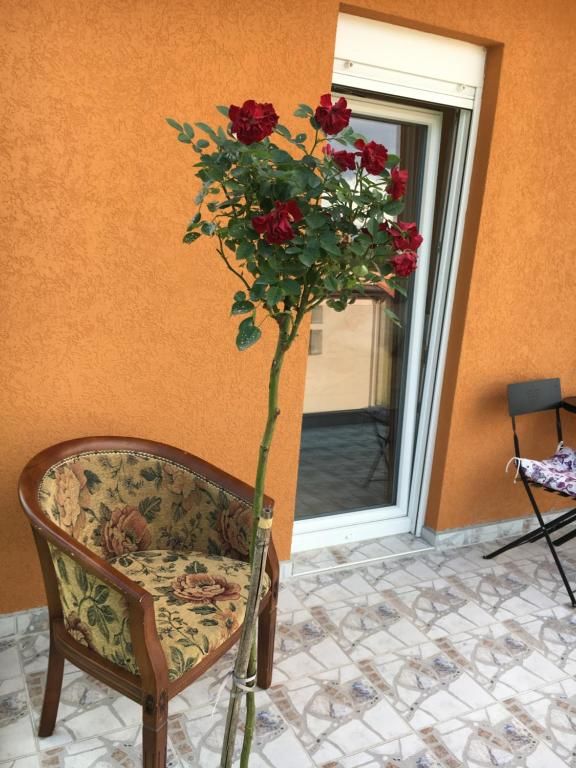 Апартаменты Apartments Kapisoda Цетине-79