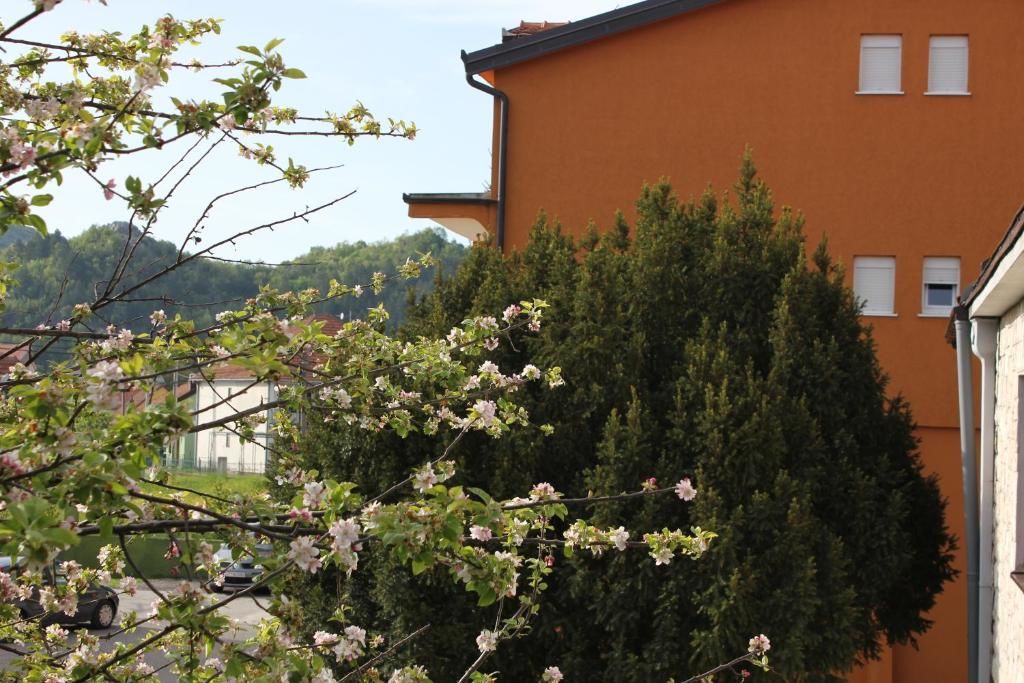 Апартаменты Apartments Kapisoda Цетине-96