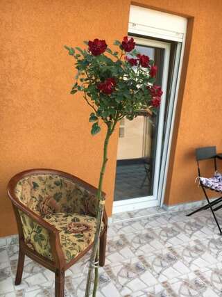 Апартаменты Apartments Kapisoda Цетине Апартаменты-47