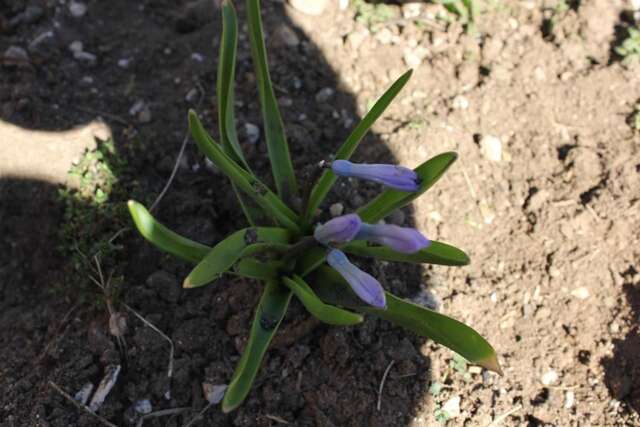 Апартаменты Apartments Kapisoda Цетине-38