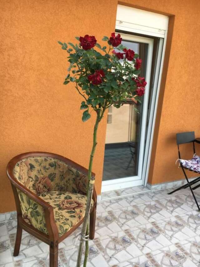 Апартаменты Apartments Kapisoda Цетине-78